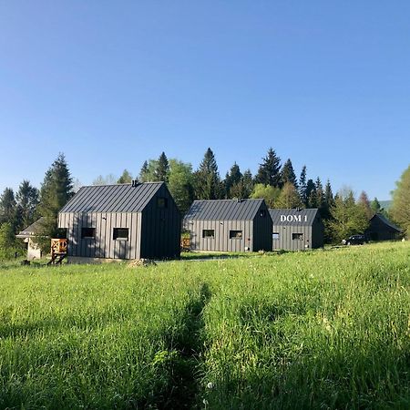 Bieszczadzka Laka Villa Kalnica  Bagian luar foto