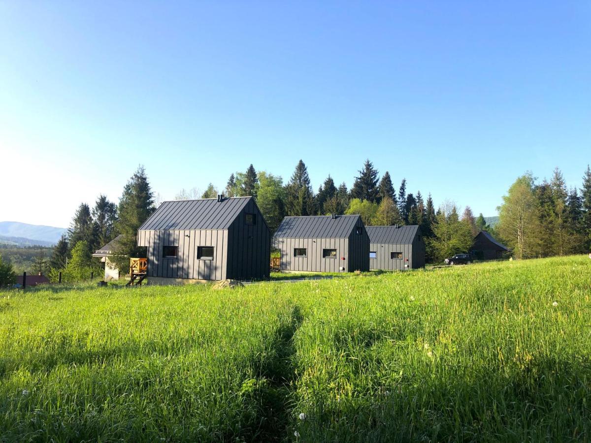 Bieszczadzka Laka Villa Kalnica  Bagian luar foto