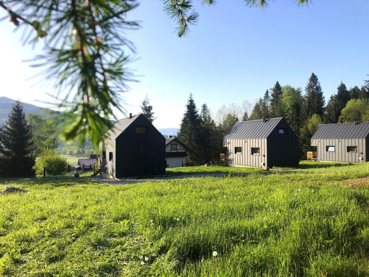 Bieszczadzka Laka Villa Kalnica  Bagian luar foto